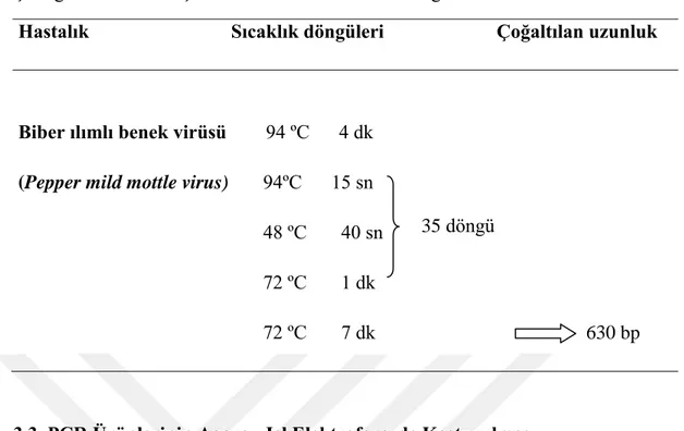 Çizelge 3.3. PMMV için kullanılan PCR sıcaklık döngüsü 