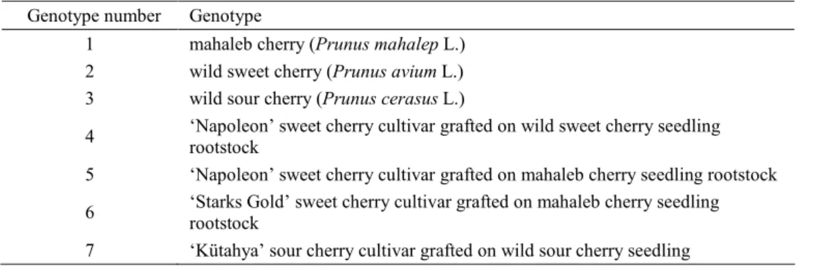 Table 1. Cherry genotypes subjected to assessments     Genotype number  Genotype 