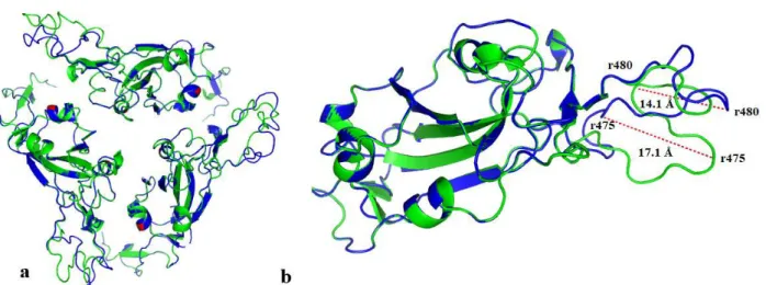 Fig. 1. Cartoon illustration of SARS CoV-2 S glycoprotein receptor binding domain. a) homo-trimer structure, aligned wild type (blue  color)-variant (green colour), b) monomer structure, aligned wild type-variant, inter-residual displacement (r: residue).