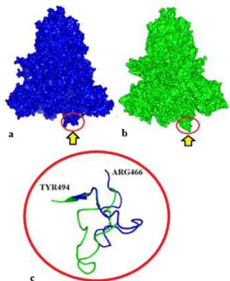 Fig. 5. Comparative illustration of secondary structure of SARS  CoV-2 S glycoprotein (W-wild structure; M-variant structure)  Discussion 