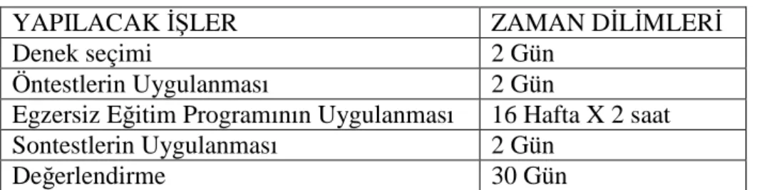 Şekil 3.1. Çalışma Programı 