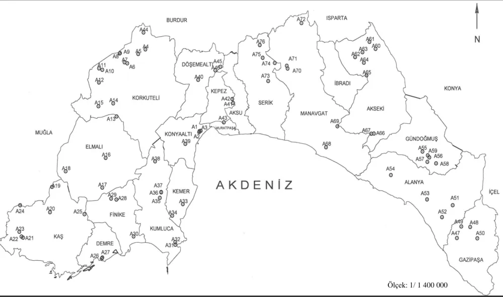 Şekil 2.1. Araştırma sahasına ait harita (Antalya Bölgesi) 