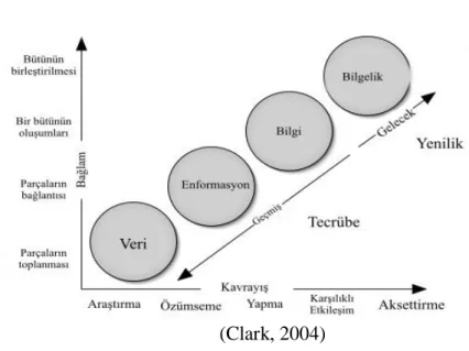 Şekil 2: Bilgi Süreci 