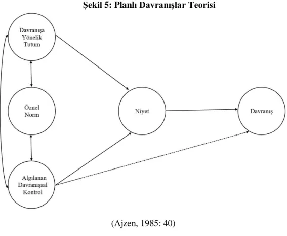 Şekil 5: Planlı Davranışlar Teorisi 