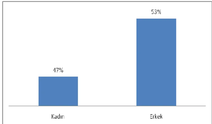 Tablo  1’de  görüldüğü  gibi,  katılımcıların  %47’si  (47  kişi)  kadın  ve  %53’ü  (54  kişi)  erkekdir