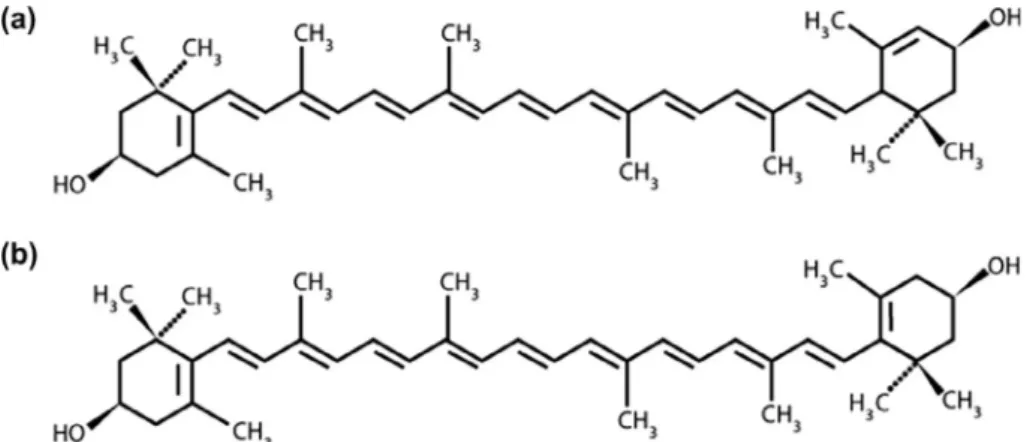 Fig. 3. Chemical structures of eggplant glycoalkaloid, (a) α-solamargine, (b) α-solasonine.