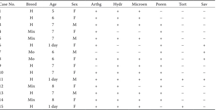Table 1. Breed, age, sex and congenital malformations in calves naturally infected with akabane virus