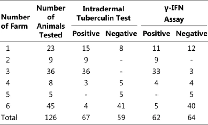 Table 1. Results of γ-IFN assay and intradermal tuberculin test  Tablo 1. γ-IFN ve intradermal tüberkülin testinin sonuçları 