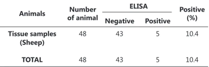Tablo  1.  Serum  örneklerinde  ELISA-antikor  ve  lökosit örneklerinde ELISA-antijen sonuçları