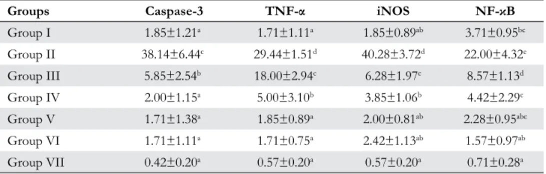 Table 1. Statistical analysis results of  positive cell percentage of  kidneys