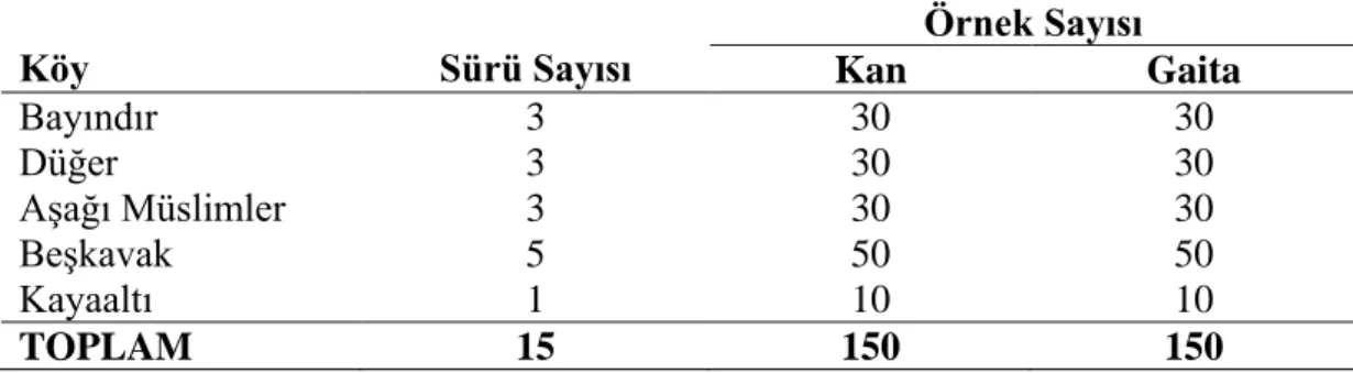 Tablo 3.1. Koyun kan ve gaita örneklerinin alındığı köyler ile sürü ve örnek sayıları