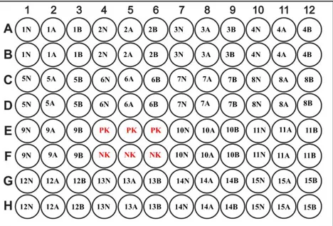 Şekil 3.9. Steril mikropleytten anti IFN-γ antikorları ile kaplı ELISA mikropleytine  örneklerin aktarılması