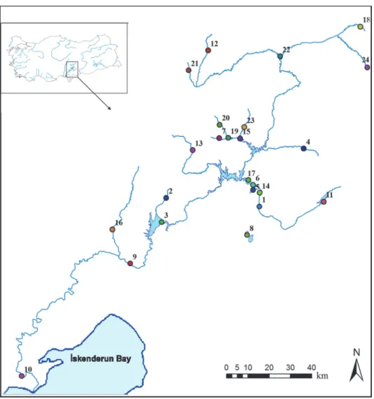 Figure  1.  Map  of  the  Ceyhan  river  system  and  collecting  locations.  1.  Aksu  stream  2