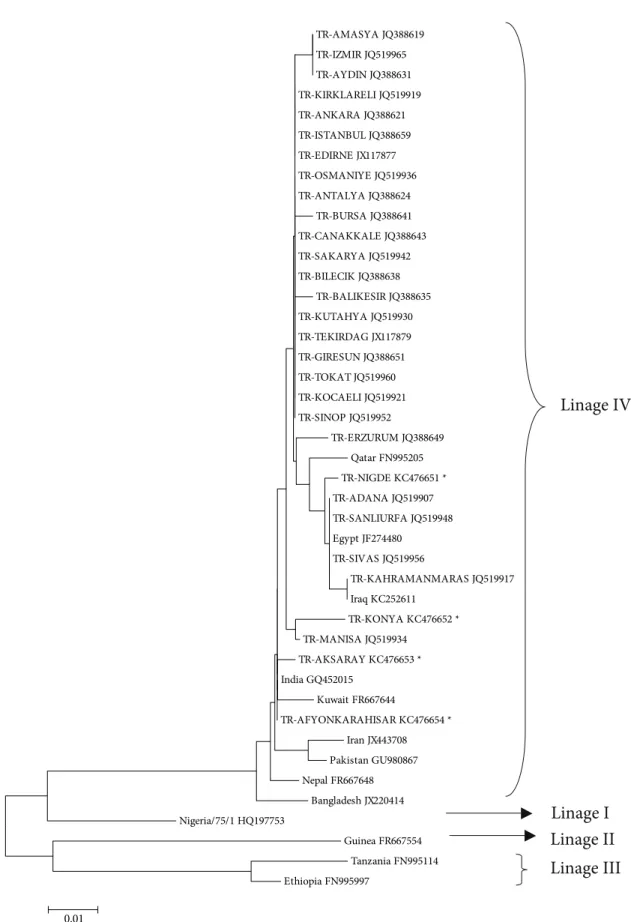 Figure 2. Phylogenetic relationships between PPR viruses detected in Turkey and reference strains from GenBank