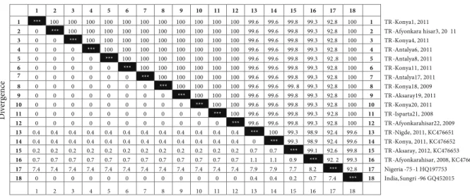 Figure 3. Percentage identity and divergence of PPR viruses characterized in this study with representative vaccine strains  Nigeria 75/1 of lineage I and Sungri-96 of lineage IV