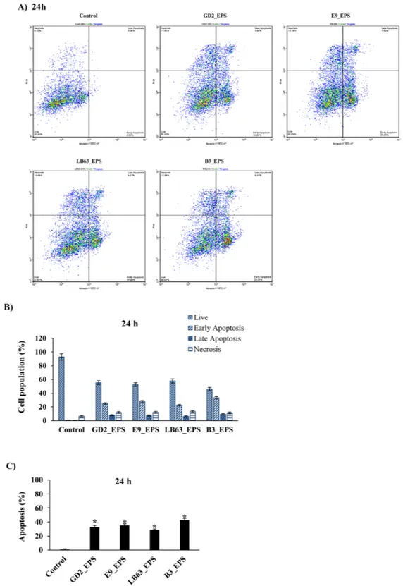 Figure 3.  Flow cytometric analysis of the impact of Lactobacillus spp. EPSs on apoptosis in HT-29 cells at 24 h  time point