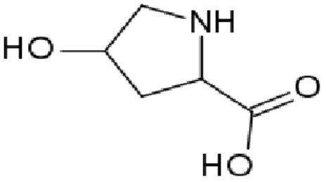 Şekil 1.1. Hidroksiprolinin yapısı. 