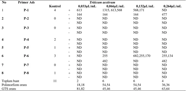 Çizelge  3.7:  Satureja  hortensis’ten  elde  edilen  uçucu  yağların  uygulandığı  Triticum  aestivum  tohumlarının RAPD profilleri 
