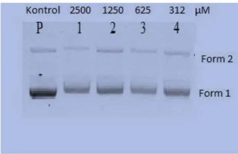 Şekil  3.2.  PA1  (1-4)  bileşiğinin  pBR322  plazmid  DNA’sı  ile  37ºC’de  24  saat  inkübasyondan  sonra  etkisinin agaroz jel üzerindeki görüntüsü 