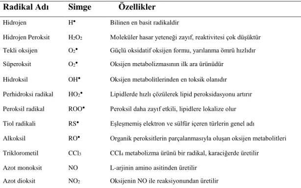 Çizelge 1.1. Radikaller, simgeleri ve özellikleri (Çöllü, 2007,  Kıral, 2012.) 