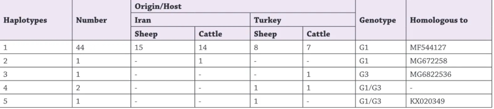 Figure 4. Phylogenetic tree of representative sequences of  Echinococcus  granulosus from Iran and reference sequences of  other genotypes, using the maximum likelihood method based  on nad1 gene