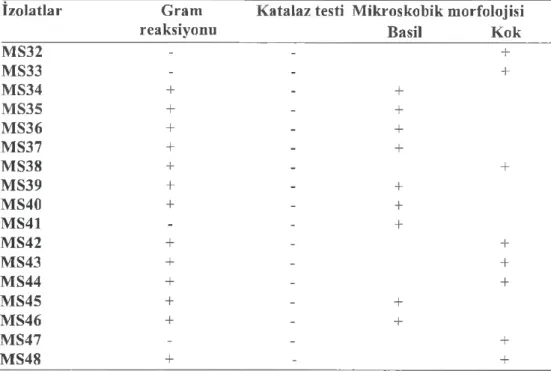 Çizelge  3.1 ’  in  devamı