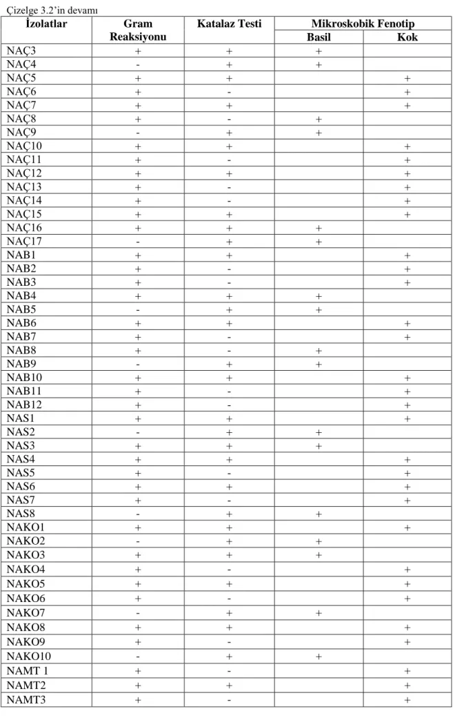 Çizelge 3.2’in devamı