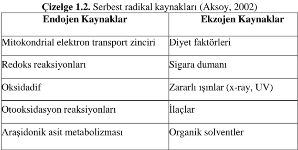 Çizelge 1.2. Serbest radikal kaynakları (Aksoy, 2002)  Endojen Kaynaklar  Ekzojen Kaynaklar  Mitokondrial elektron transport zinciri  Diyet faktörleri 