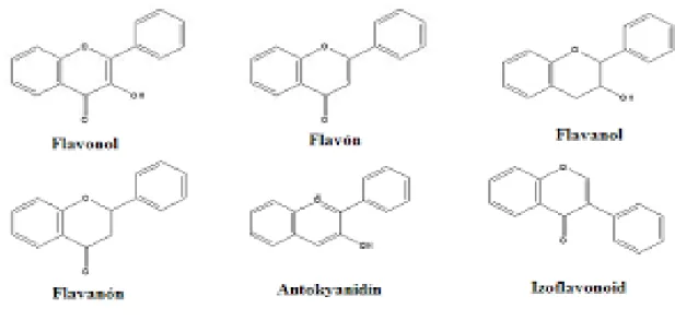 Şekil 1.4. Flavonol, flavon, flavanol, flavanon, antosiyanidin ve izoflavonoid’in kimyasal yapıları  (Brindza ve ark., 2011)  