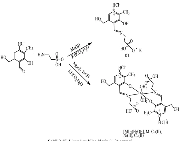 Şekil 2.17. Ligand ve bileşiklerin (1-3) sentezi 