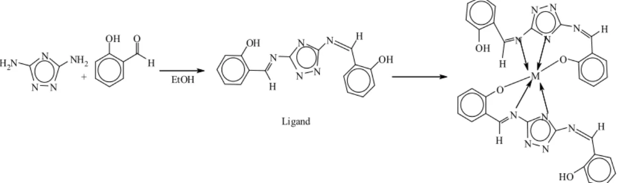 Şekil 2.19. Ligand ve komplekslerin sentezi 