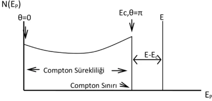 Şekil 2.11. Kaynak spektrumundan elde edilen ideal (mükemmel ayırma gücü için) puls-yükseklik   spektrumu (Almaz, 2007) 