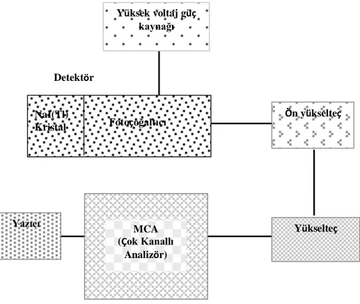 Şekil 3.1. Deneyde kullanılan gamma spektrometresinin gösterimi (Almaz, 2007) 