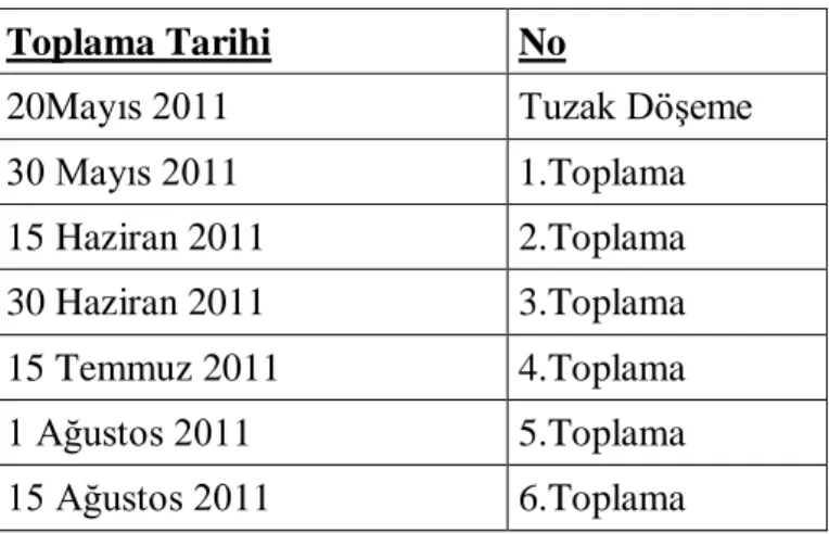 Çizelge 3.1. Tuzakların ilk döşeme ve servis tarihleri 