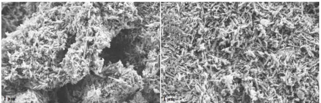 Fig. 2. SEM micrographs of the halloysite clay (by Esan). 