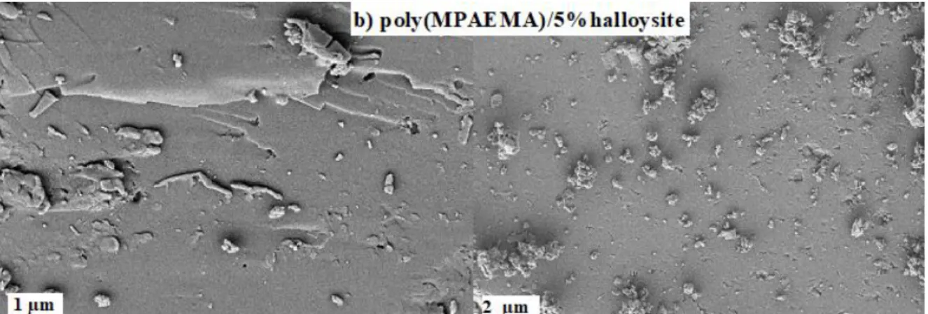 Fig. 7. SEM micrographs of a) poly(MPAEMA)/3%halloysite b) poly(MPAEMA)/5%halloysite. 