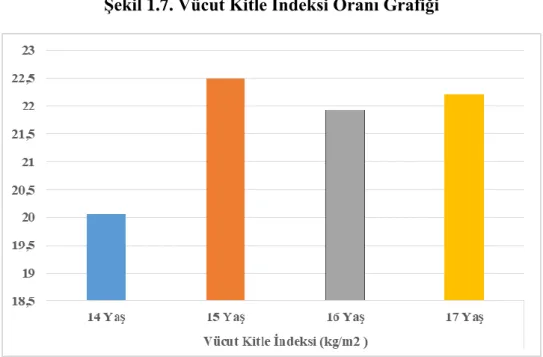 Şekil 1.7. Vücut Kitle İndeksi Oranı Grafiği