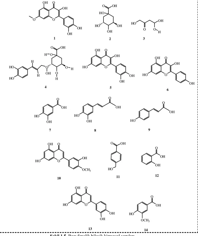 Şekil 1.5’te bazı fenolik bileşiklerin (1: rhamnetin, 2: quinik asit, 3: malik asit, 4:  klorogenik asit, 5: quercetin, 6: kaempferol, 7: protokateşik asit, 8: tr- kafeik asit, 9:  p-kumarik  asit,  10:  hesperetin,  11:  4-OH  benzoik  asit,  12:  salisil