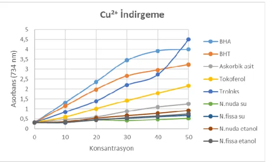 Şekil 4.4. Nepeta fissa ve Nepeta nuda subsp. albiflora etanol ve su ekstrelerinin farklı derişimlerinin  (10-50 μg/ml) kuprik iyonlarını indirgeme kuvveti tayini 