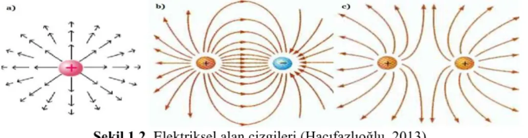 Şekil 1.2. Elektriksel alan çizgileri (Hacıfazlıoğlu, 2013) 