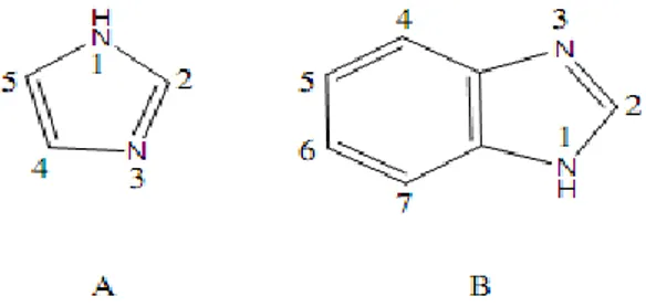 Şekil 1.1 (a) İmidazol  ve (b) Benzimidazol. 