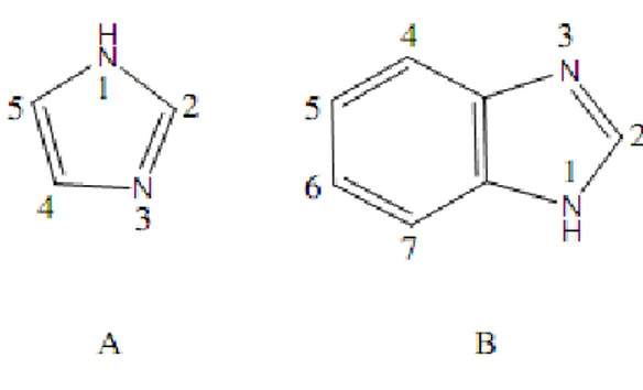 Şekil 1.1.İmidazol (A) ve Benzimidazol (B). 