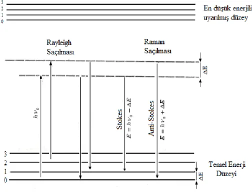 Şekil 2.2. Stokes ve anti-Stokes türü Raman saçılması 