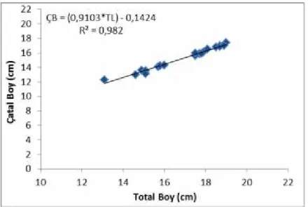 Şekil  4.5. Azaplı  Gölü Acanthobrama  thisbeae popülasyonu  için çatal boy-total boy ilişkisi