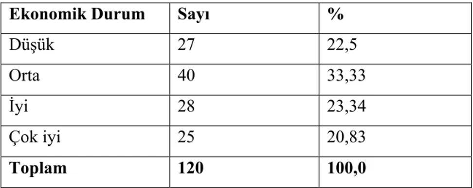 Tablo 6: Ankete Katılanların Ekonomik Durumlarına Göre Dağılımı 