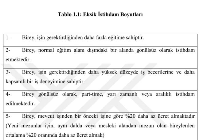 Tablo 1.1: Eksik İstihdam Boyutları 
