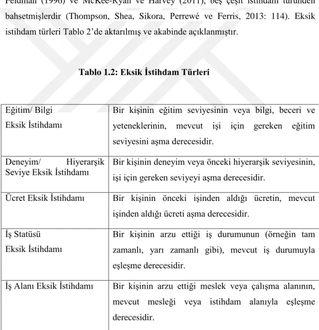 Tablo 1.2: Eksik İstihdam Türleri 
