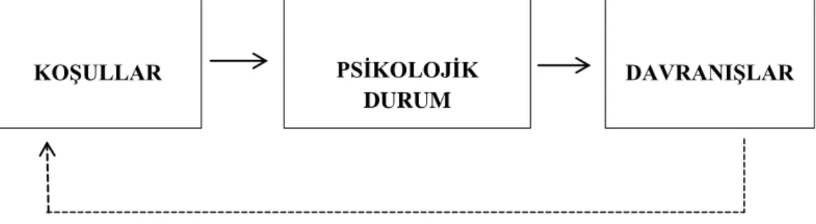 Şekil : 2.1. Tututmsal  Bağlılık 