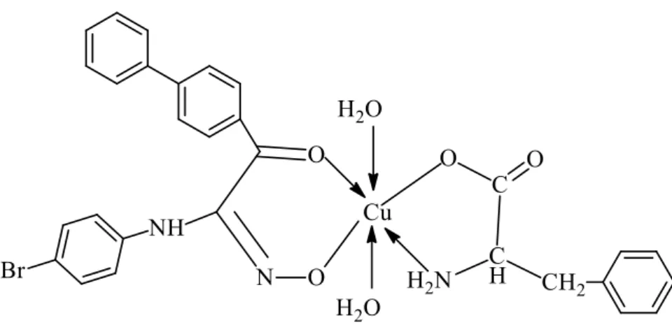 Şekil 3.8. [CuL(phe).2H 2 O] kompleksinin yapısı 