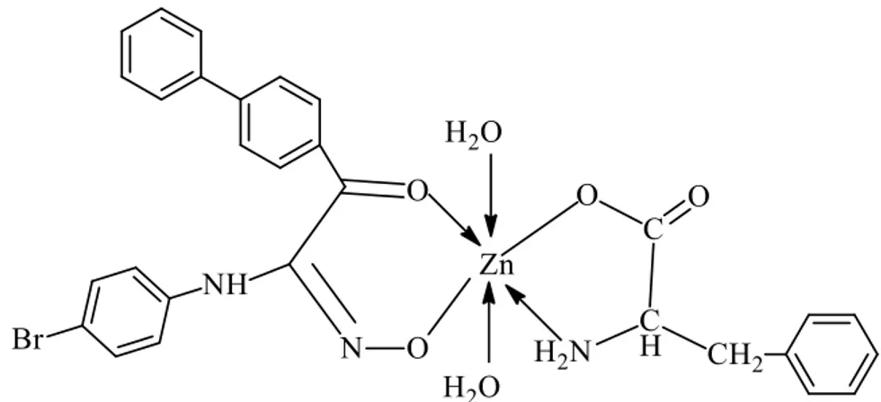 Şekil 3.10. [ZnL(phe).2H 2 O] kompleksinin yapısı 